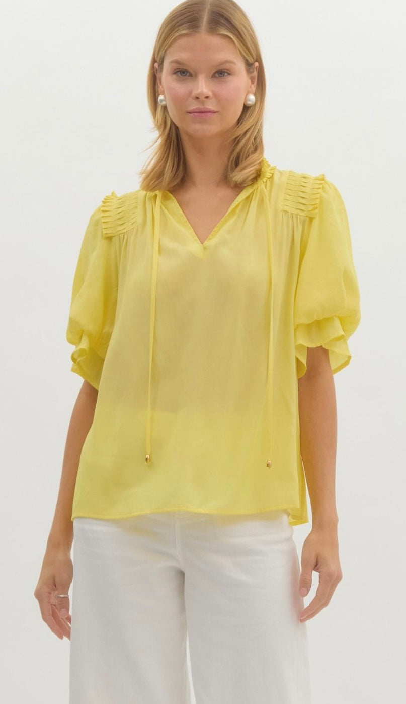 Honey Belle Ruffle Sleeve Pullover Top