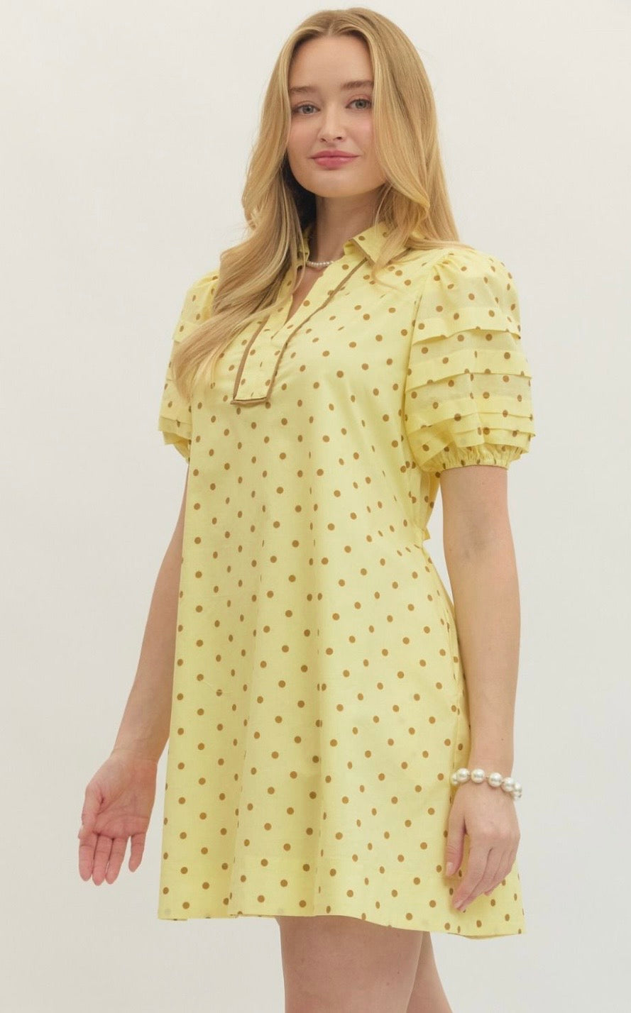 Darling Dots Mini Dress