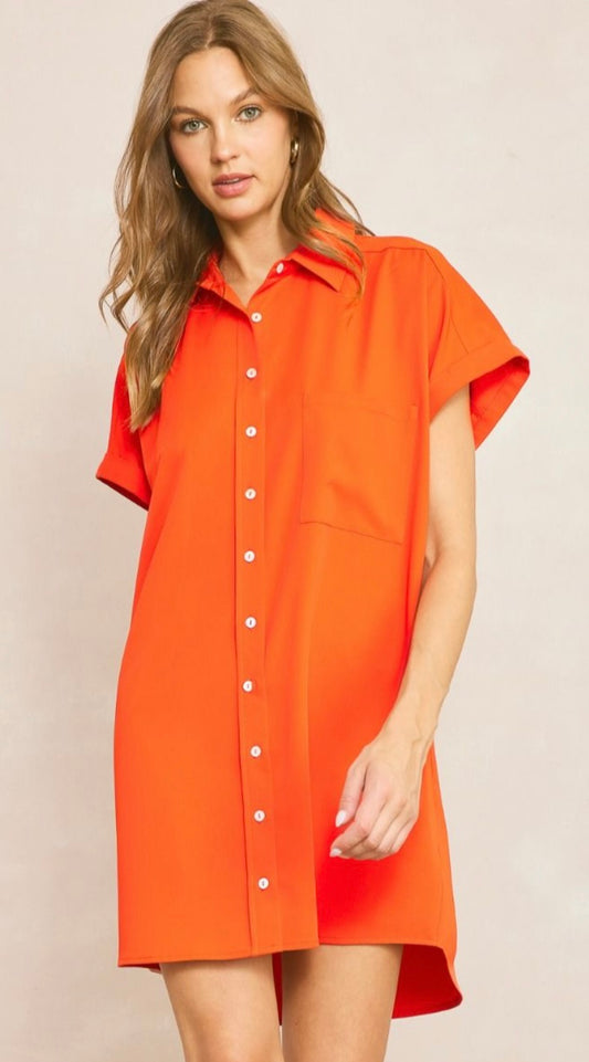 Sunset Stroll Button-Up Mini Dress