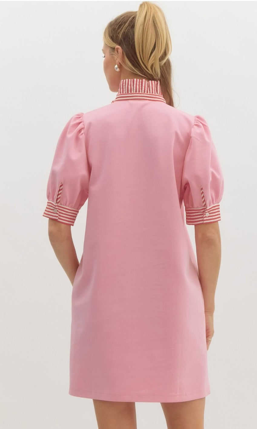 Pretty in Polo Dress