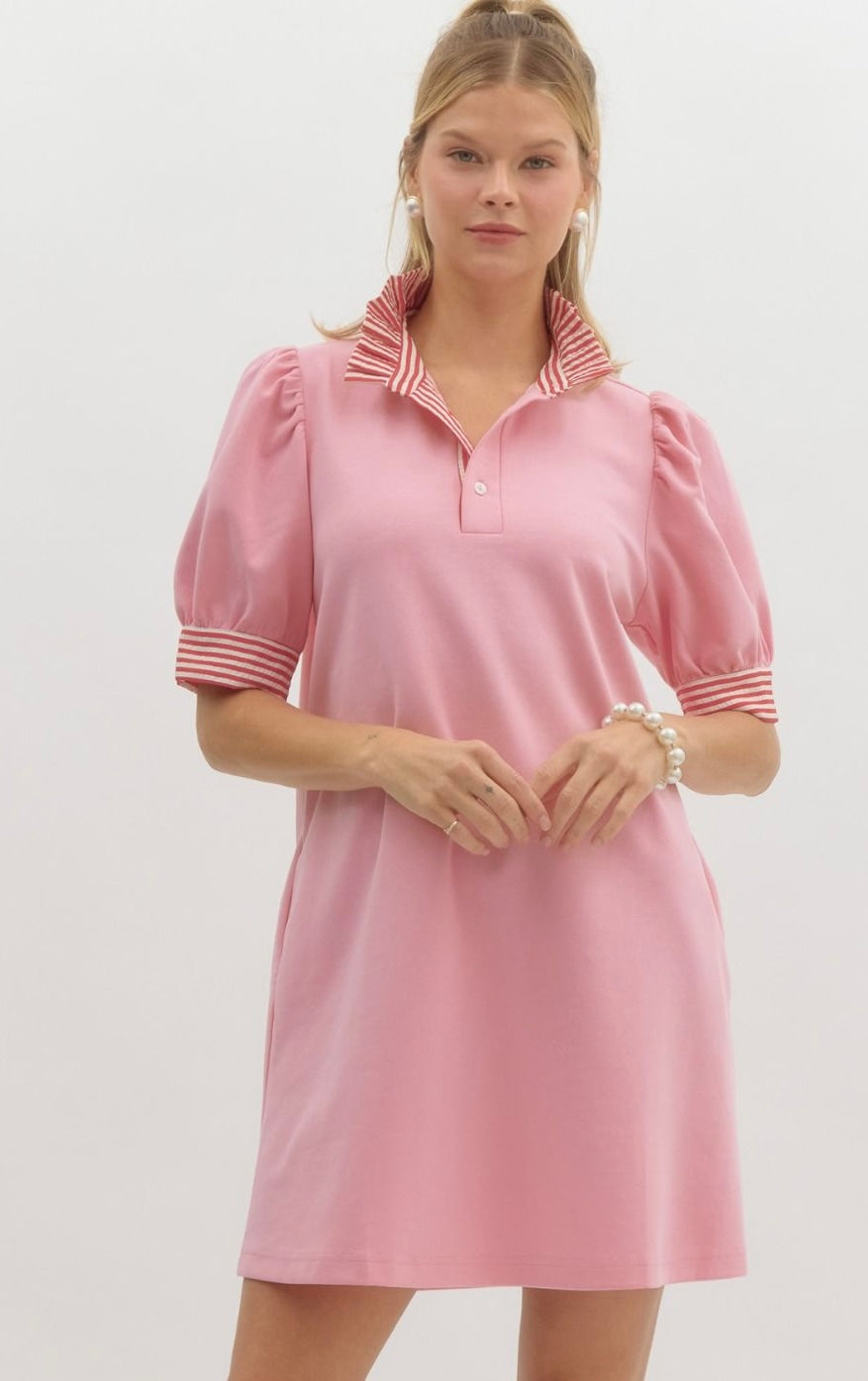 Pretty in Polo Dress