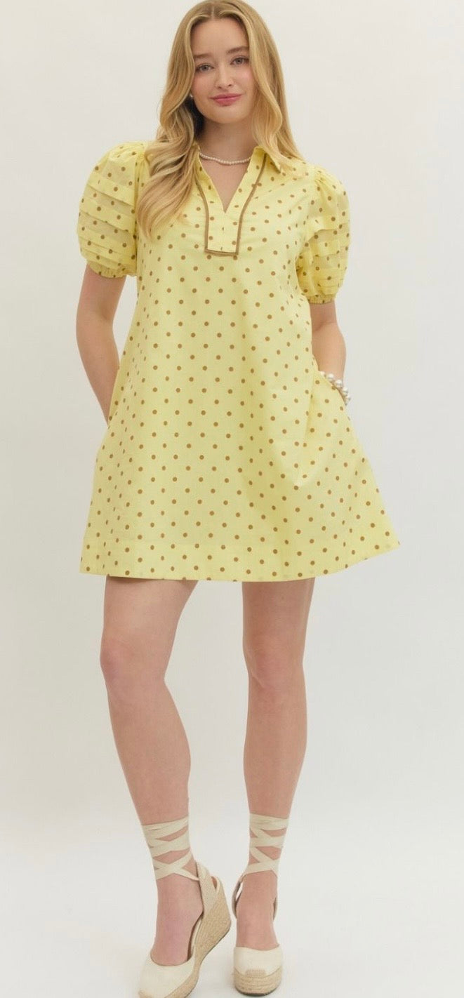 Darling Dots Mini Dress