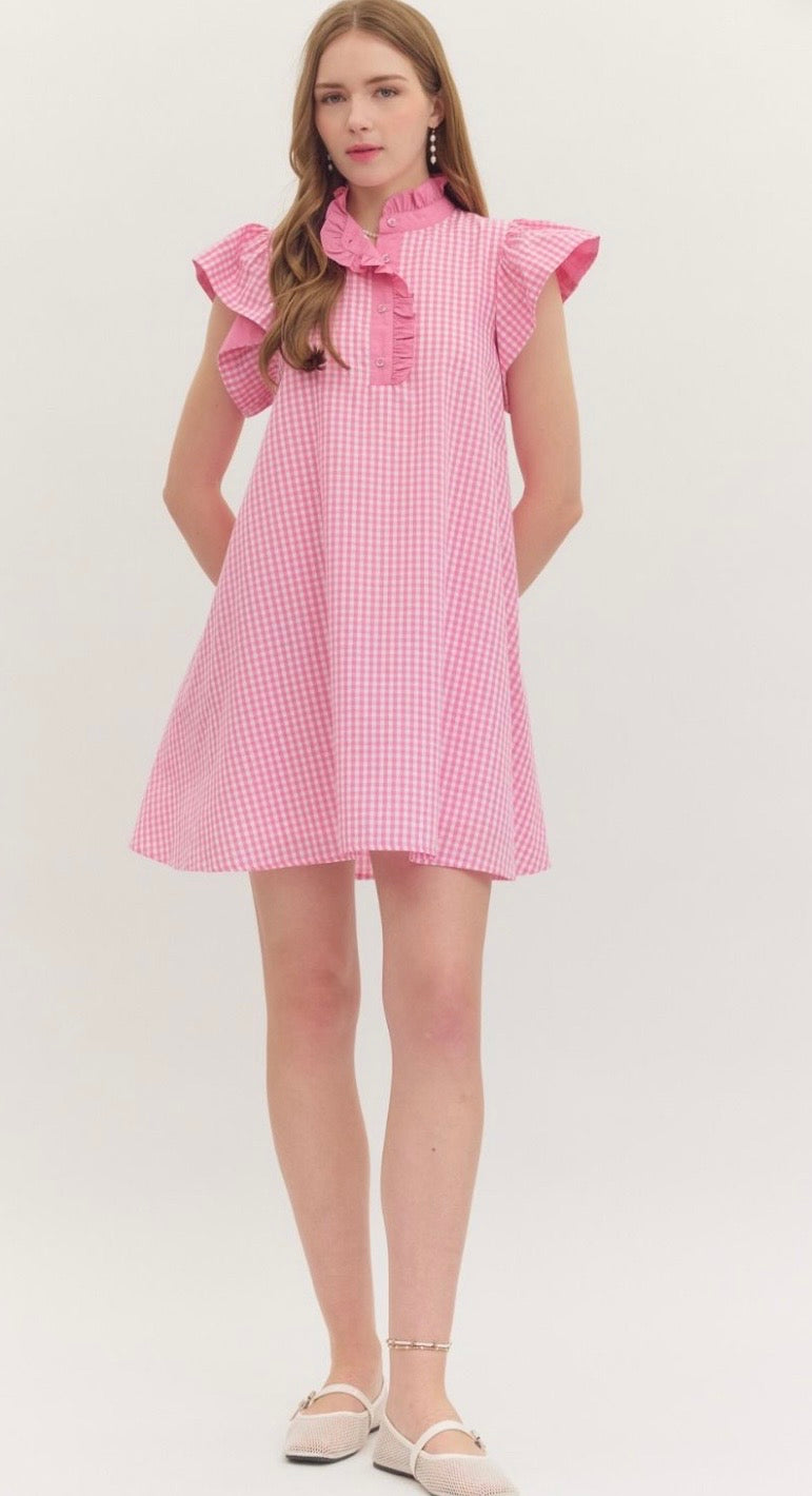 Pink Porch Swing Mini Dress