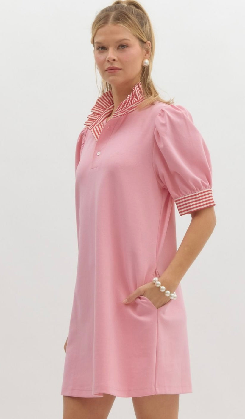 Pretty in Polo Dress