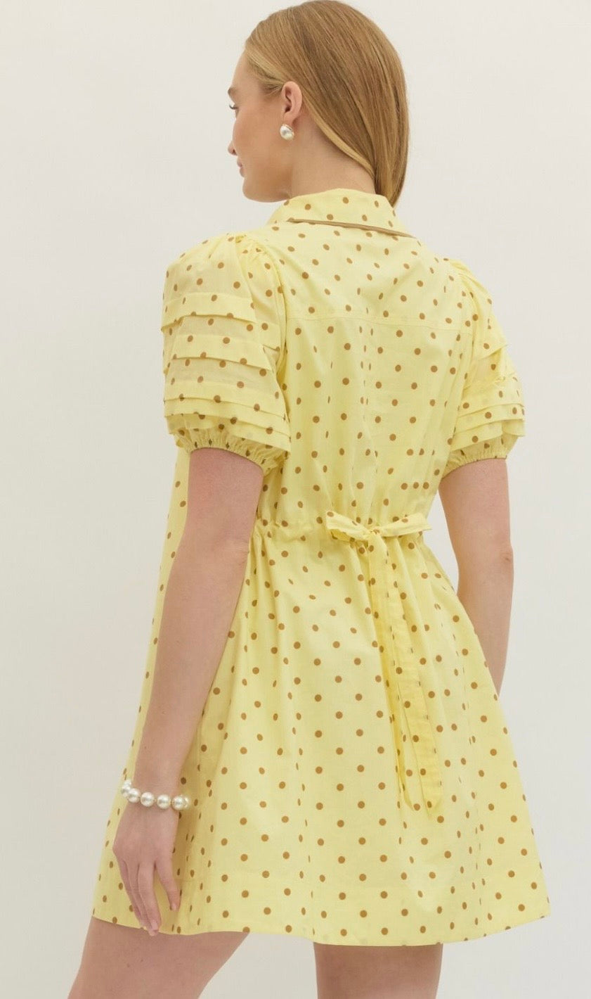 Darling Dots Mini Dress